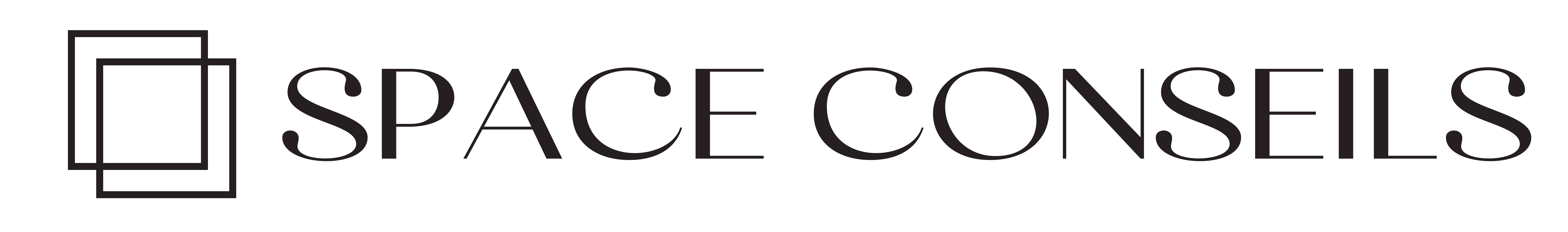 Space Conseils