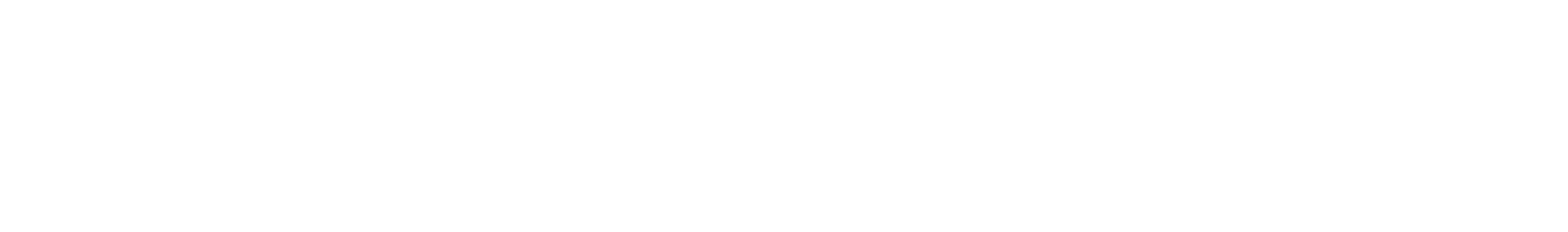 Space Conseils